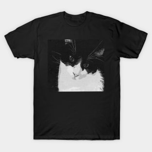 Kai the Cat T-Shirt